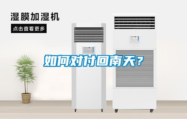 如何對付回南天？