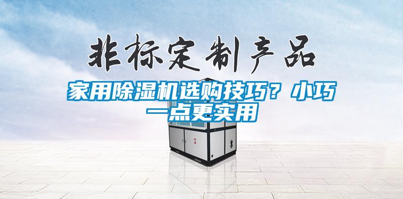 家用除濕機(jī)選購技巧？小巧一點(diǎn)更實(shí)用
