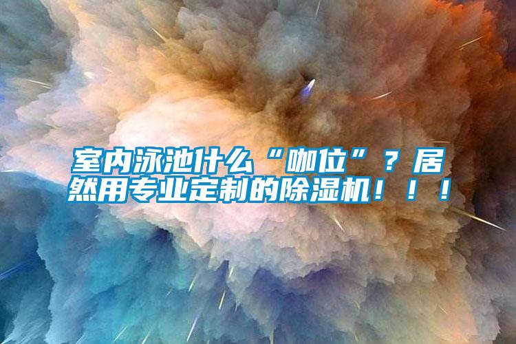 室內(nèi)泳池什么“咖位”？居然用專業(yè)定制的除濕機(jī)?。。?/></p>
						    <p style=