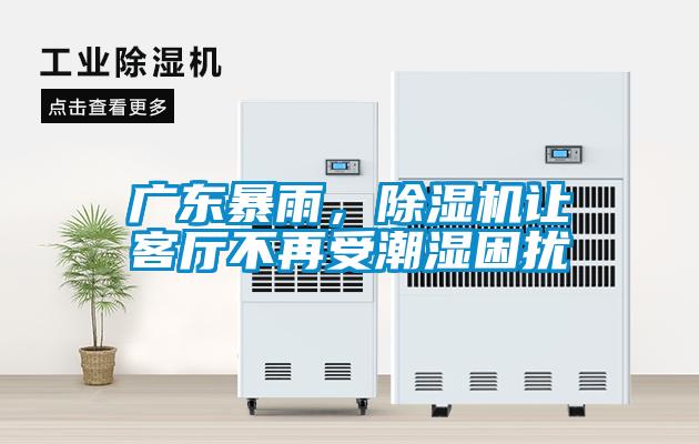 廣東暴雨，除濕機讓客廳不再受潮濕困擾