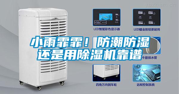 小雨霏霏！防潮防濕還是用除濕機(jī)靠譜