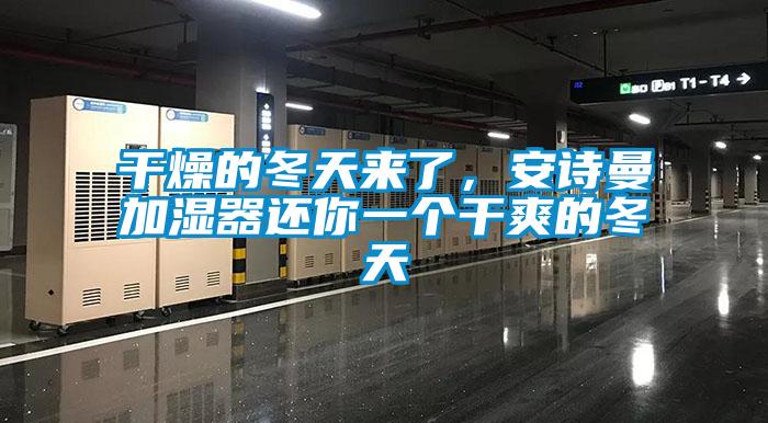 干燥的冬天來了，安詩曼加濕器還你一個(gè)干爽的冬天