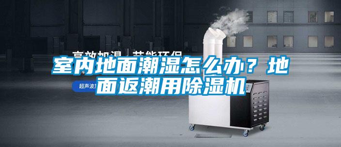 室內(nèi)地面潮濕怎么辦？地面返潮用除濕機(jī)