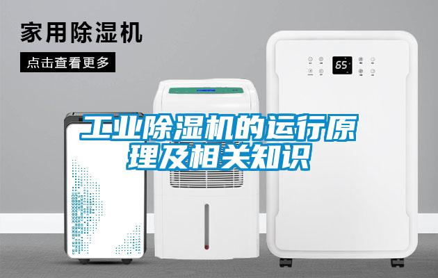 工業(yè)除濕機(jī)的運(yùn)行原理及相關(guān)知識