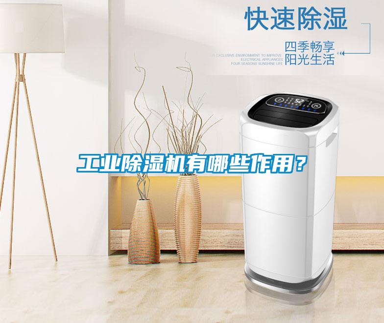 工業(yè)除濕機(jī)有哪些作用？