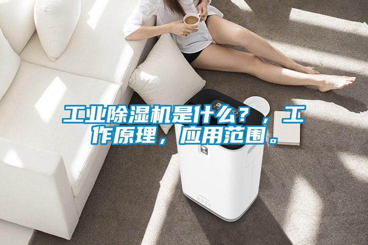 工業(yè)除濕機(jī)是什么？，工作原理，應(yīng)用范圍。