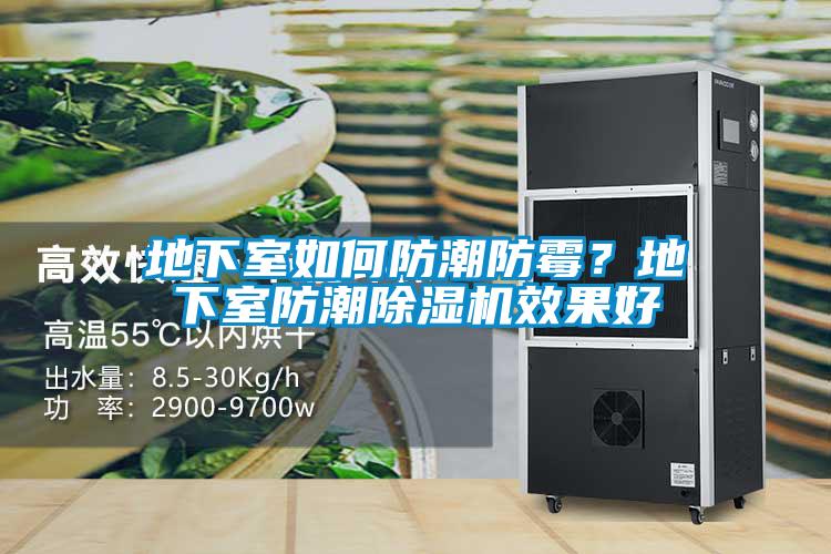 地下室如何防潮防霉？地下室防潮除濕機(jī)效果好