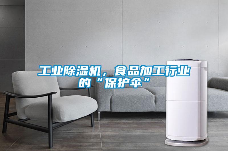 工業(yè)除濕機(jī)，食品加工行業(yè)的“保護(hù)傘”