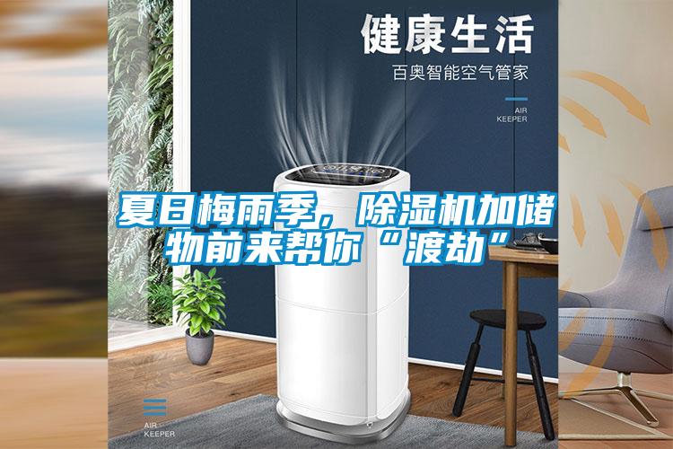 夏日梅雨季，除濕機(jī)加儲(chǔ)物前來幫你“渡劫”