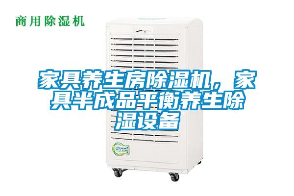 家具養(yǎng)生房除濕機(jī)，家具半成品平衡養(yǎng)生除濕設(shè)備