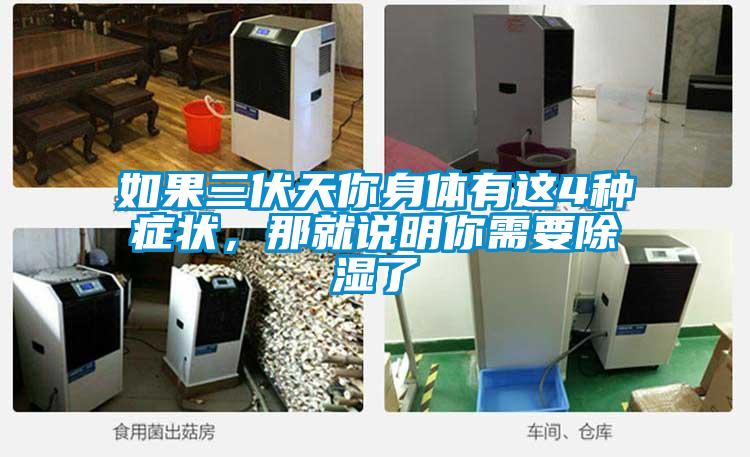 如果三伏天你身體有這4種癥狀，那就說明你需要除濕了