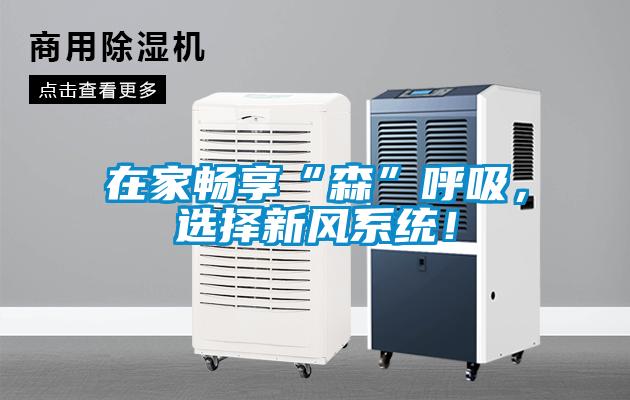 在家暢享“森”呼吸，選擇新風(fēng)系統(tǒng)！