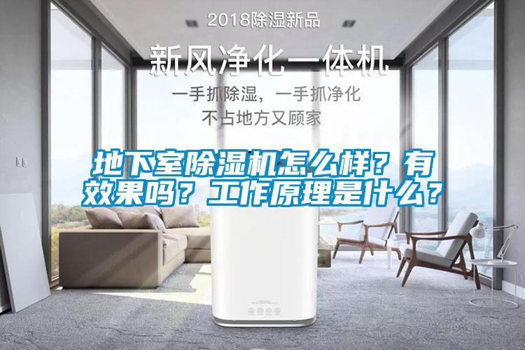 地下室除濕機怎么樣？有效果嗎？工作原理是什么？
