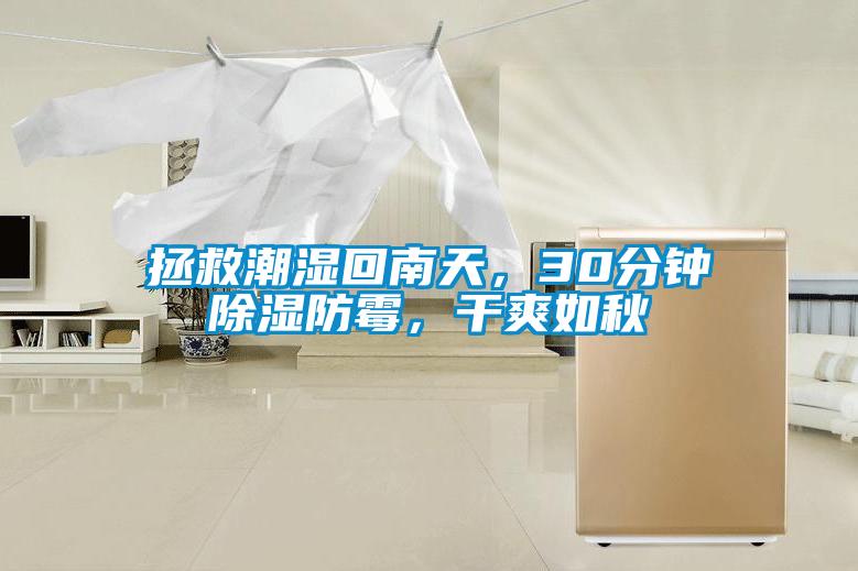 拯救潮濕回南天，30分鐘除濕防霉，干爽如秋