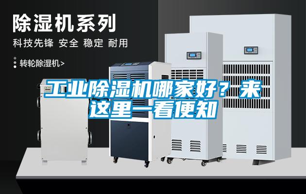 工業(yè)除濕機哪家好？來這里一看便知