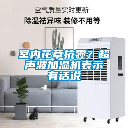 室內(nèi)花草抗霾？超聲波加濕機表示有話說