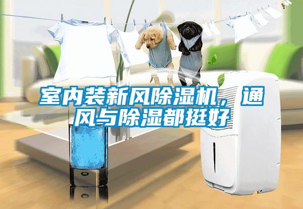 室內(nèi)裝新風(fēng)除濕機(jī)，通風(fēng)與除濕都挺好