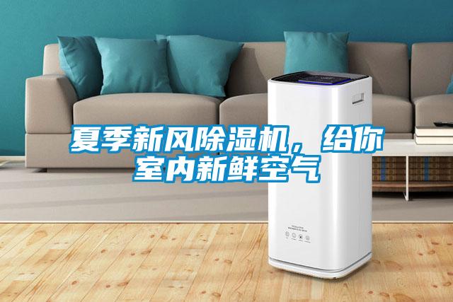 夏季新風(fēng)除濕機，給你室內(nèi)新鮮空氣