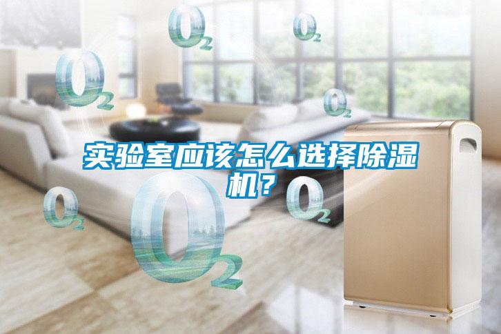 實驗室應該怎么選擇除濕機？