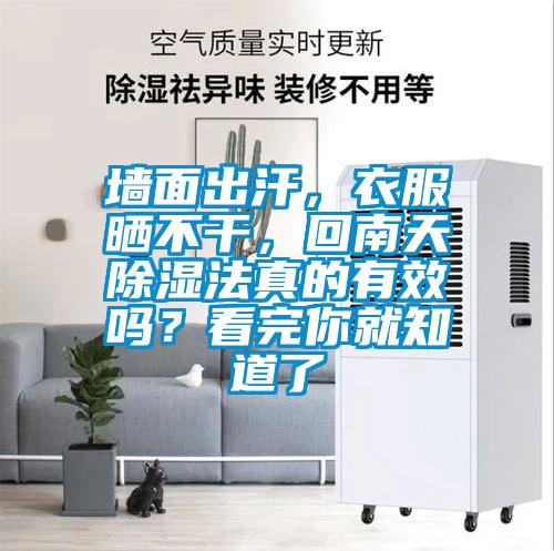 墻面出汗，衣服曬不干，回南天除濕法真的有效嗎？看完你就知道了