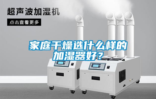 家庭干燥選什么樣的加濕器好？