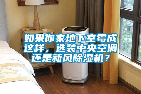 如果你家地下室霉成這樣，選裝中央空調(diào)還是新風(fēng)除濕機(jī)？