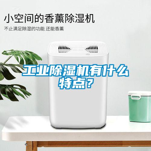 工業(yè)除濕機(jī)有什么特點(diǎn)？