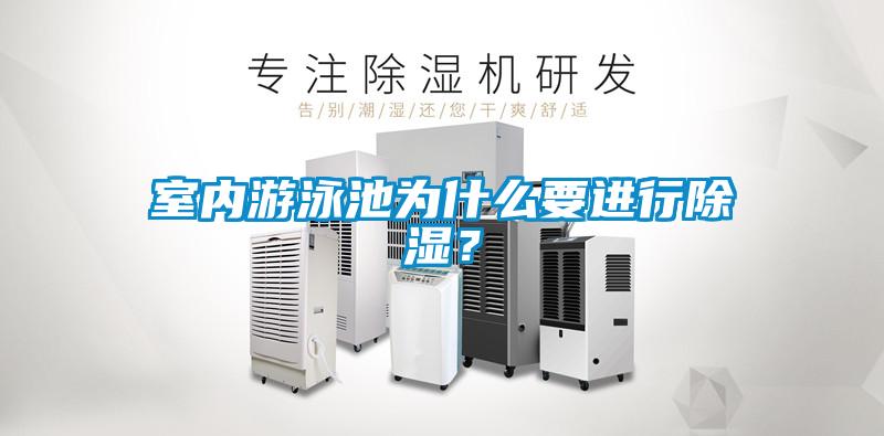 室內(nèi)游泳池為什么要進行除濕？
