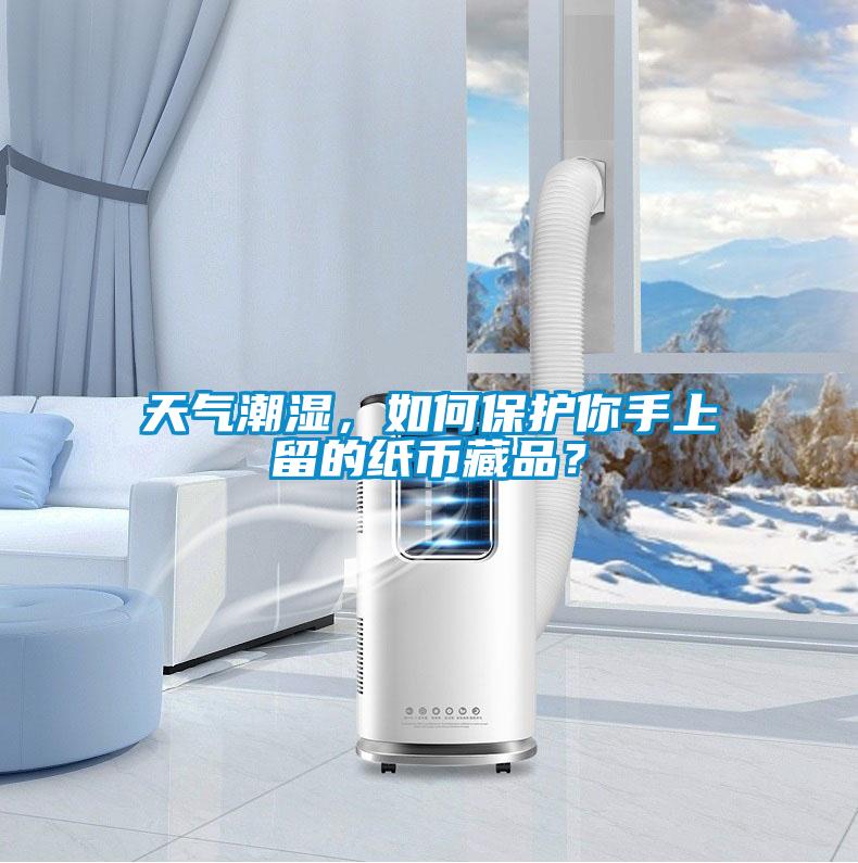 天氣潮濕，如何保護(hù)你手上留的紙幣藏品？