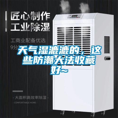 天氣濕漉漉的，這些防潮大法收藏好~