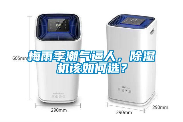 梅雨季潮氣逼人，除濕機(jī)該如何選？