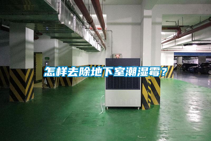 怎樣去除地下室潮濕霉？