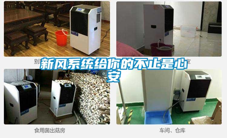 新風系統(tǒng)給你的不止是心安