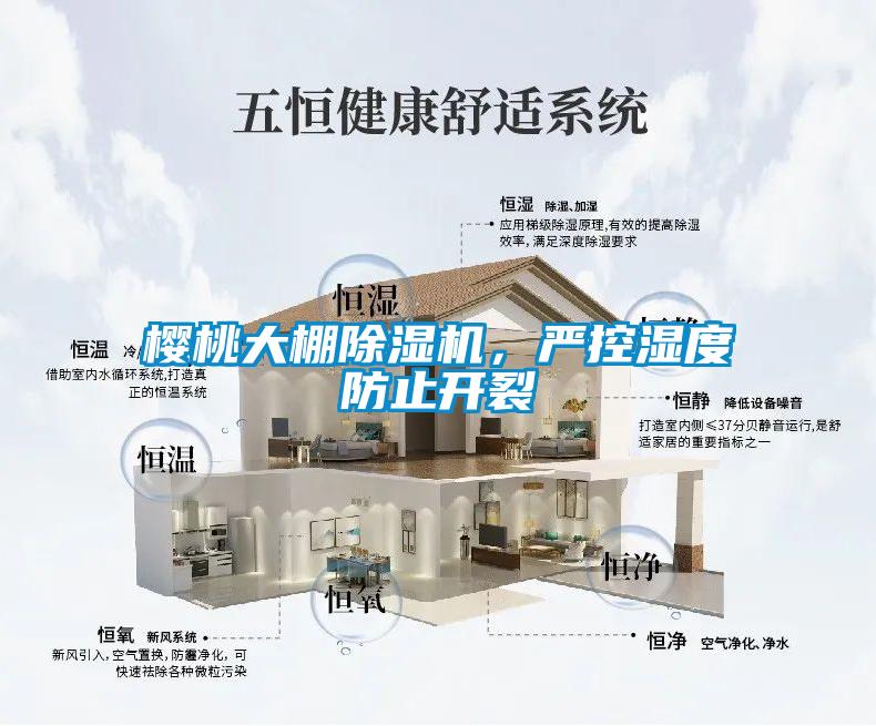 櫻桃大棚除濕機(jī)，嚴(yán)控濕度防止開裂
