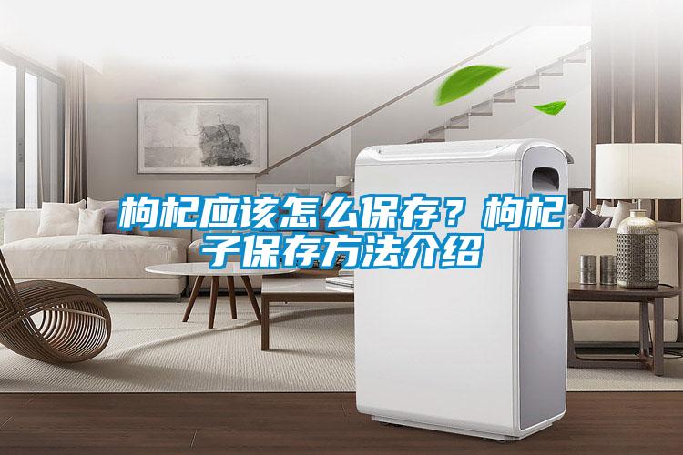 枸杞應(yīng)該怎么保存？枸杞子保存方法介紹