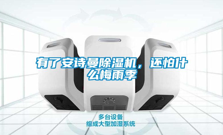 有了安詩(shī)曼除濕機(jī)，還怕什么梅雨季