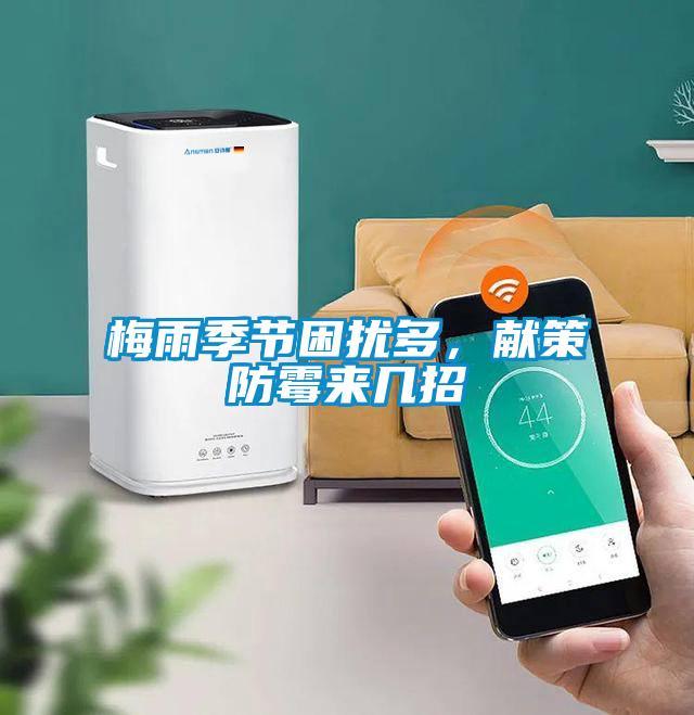 梅雨季節(jié)困擾多，獻(xiàn)策防霉來幾招