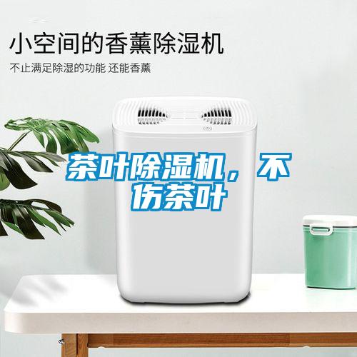 茶葉除濕機(jī)，不傷茶葉