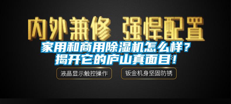 家用和商用除濕機怎么樣？揭開它的廬山真面目！