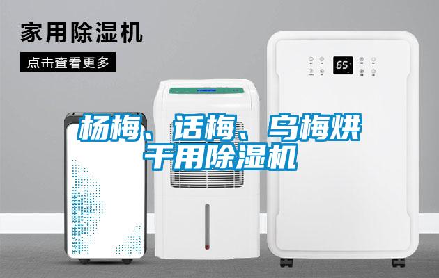 楊梅、話梅、烏梅烘干用除濕機