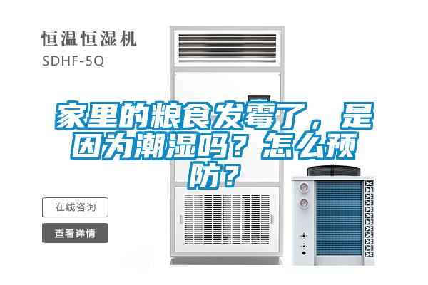 家里的糧食發(fā)霉了，是因為潮濕嗎？怎么預防？
