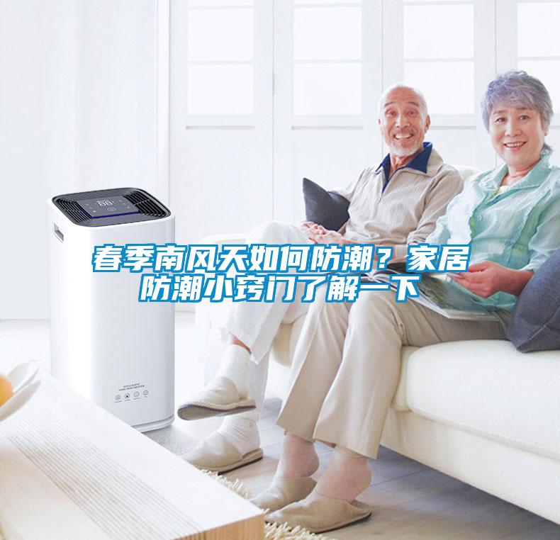 春季南風(fēng)天如何防潮？家居防潮小竅門了解一下