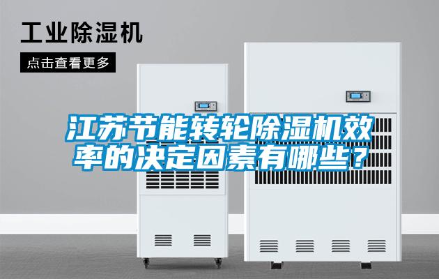 江蘇節(jié)能轉(zhuǎn)輪除濕機(jī)效率的決定因素有哪些？