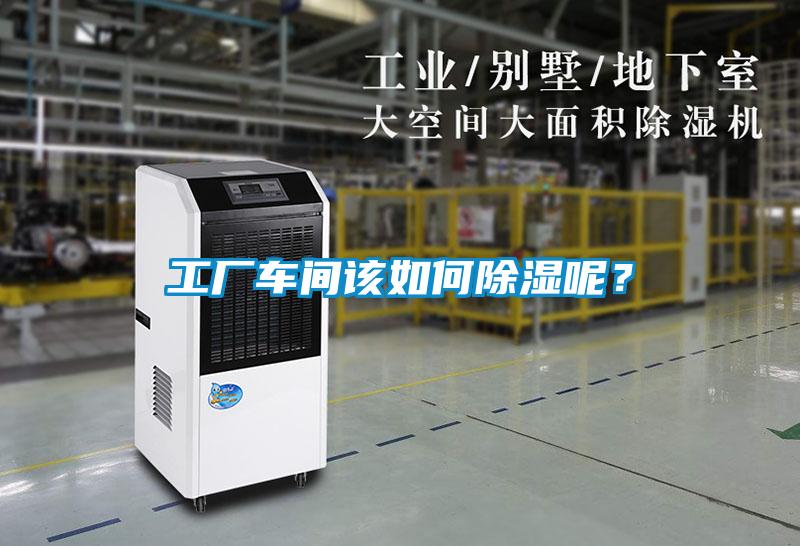 工廠車間該如何除濕呢？