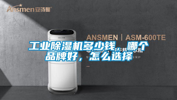 工業(yè)除濕機多少錢，哪個品牌好，怎么選擇