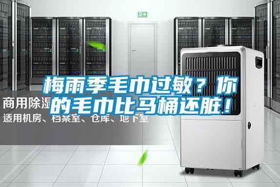 梅雨季毛巾過敏？你的毛巾比馬桶還臟！