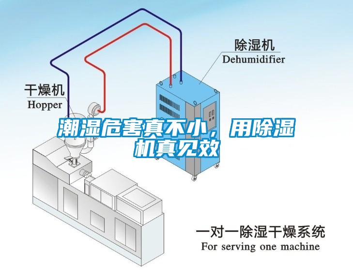 潮濕危害真不小，用除濕機(jī)真見效