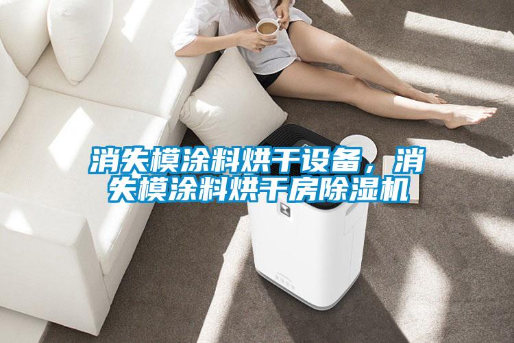 消失模涂料烘干設(shè)備，消失模涂料烘干房除濕機(jī)