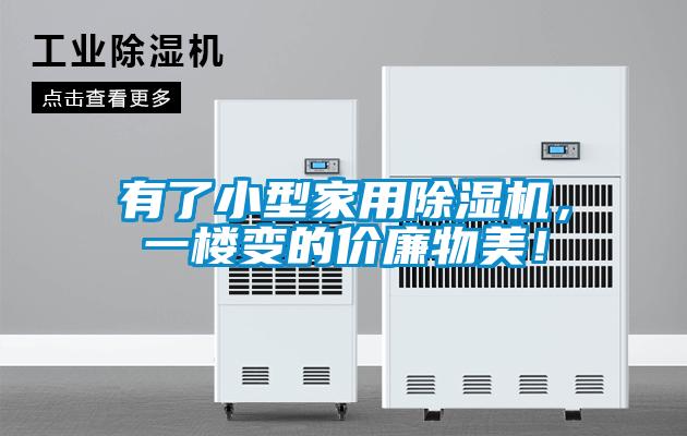 有了小型家用除濕機(jī)，一樓變的價(jià)廉物美！