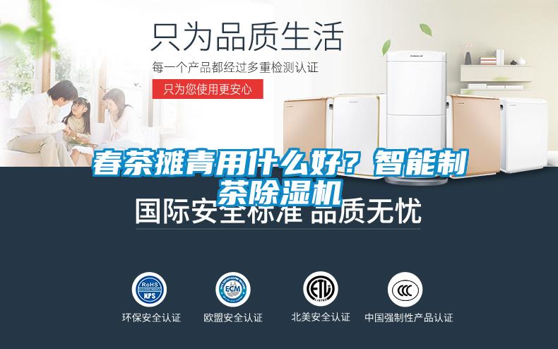 春茶攤青用什么好？智能制茶除濕機(jī)
